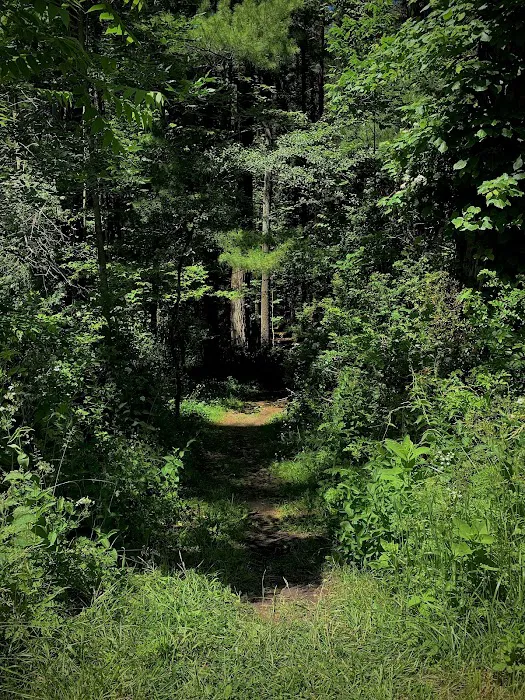 Former Beachwood Girl Scout Camp Picture 5
