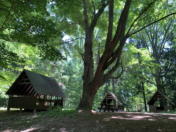 Former Beachwood Girl Scout Camp Picture 7