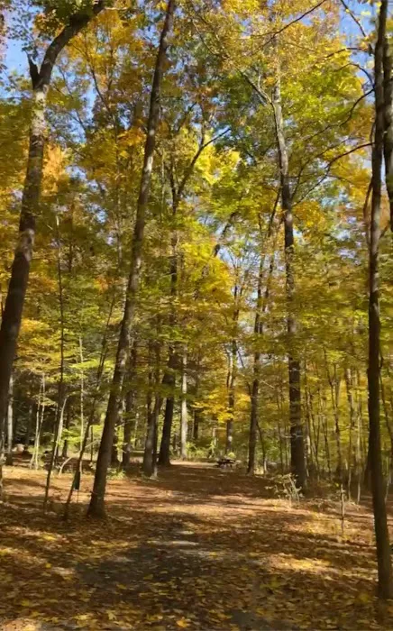 Dingmans Campground Picture 2