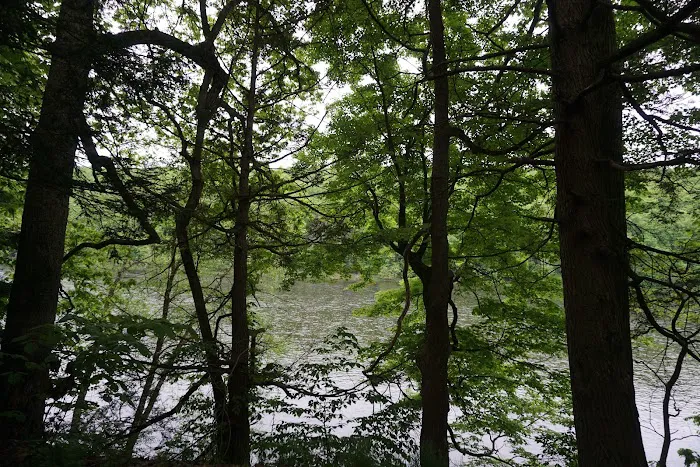 Dingmans Campground Picture 7