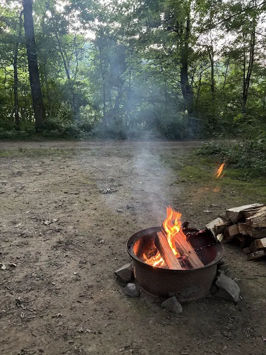 Dingmans Campground Picture 4