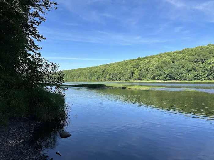 Dingmans Campground Picture 5