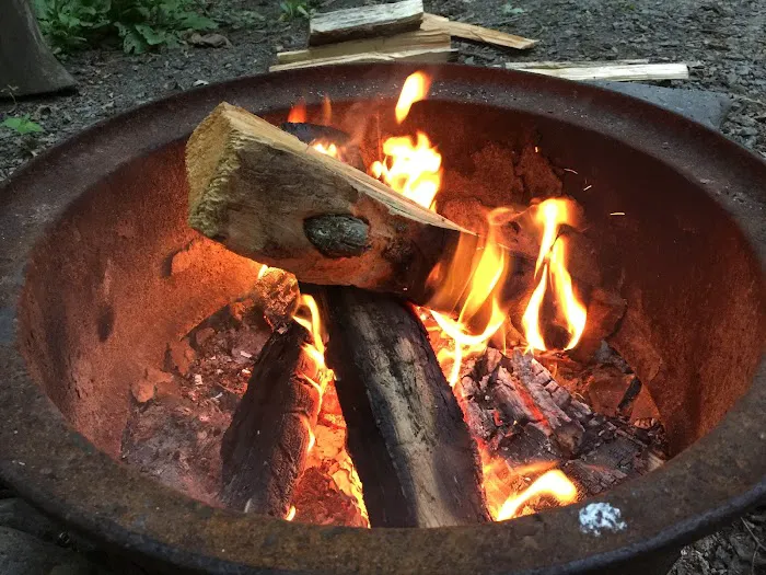 Dingmans Campground Picture 8