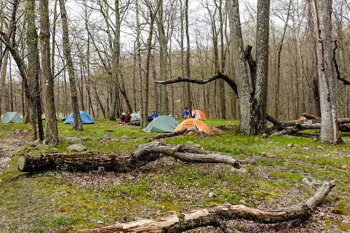 Dutch Doctor Shelter Picture 1