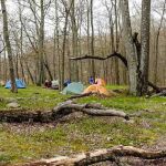 Dutch Doctor Shelter