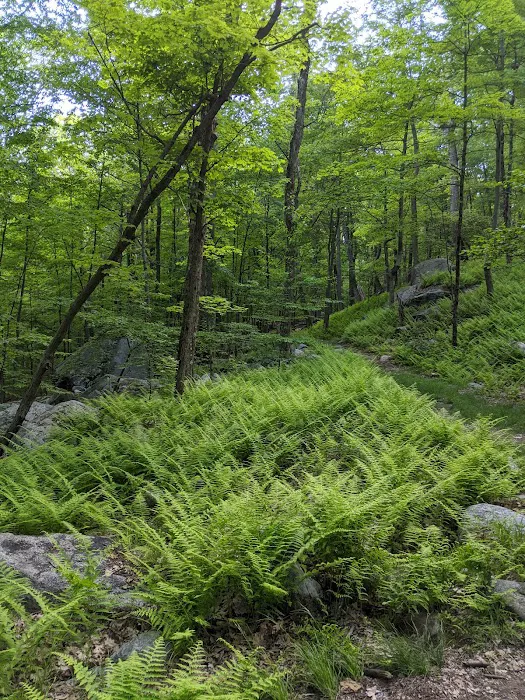 Big Hill Shelter Picture 2