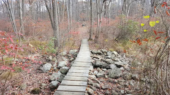 Big Hill Shelter Picture 4