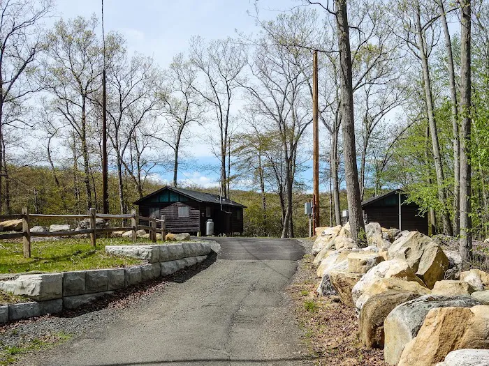 Camp Homeward Bound Picture 4