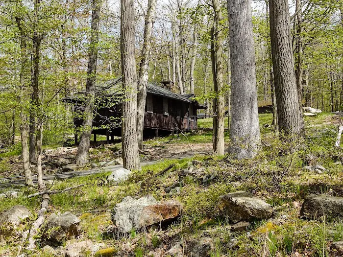 Camp Homeward Bound Picture 6