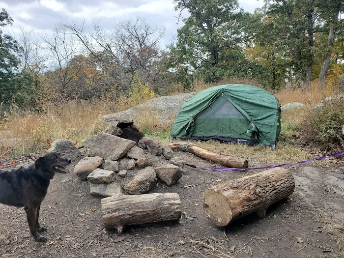Tom Jones Shelter Picture 10