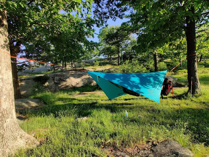 Tom Jones Shelter Picture 3