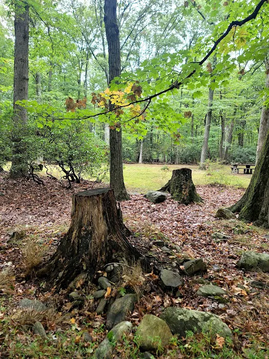 Beaver Pond Campground Picture 6
