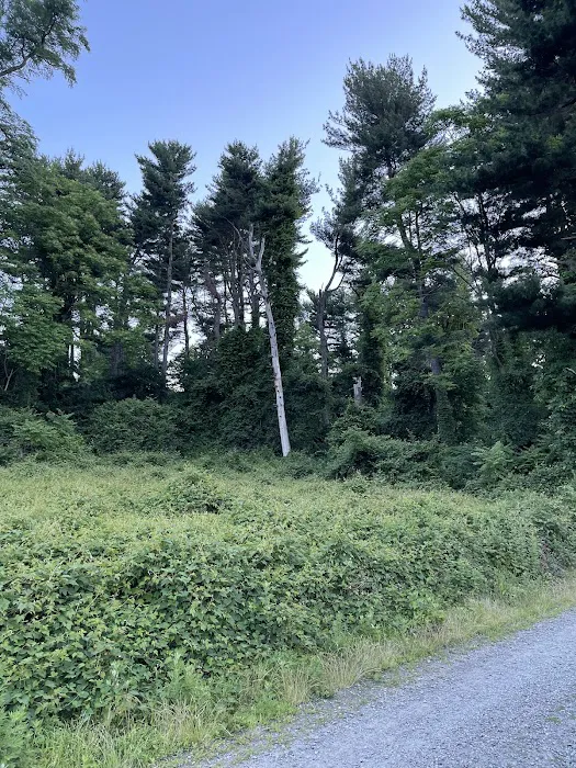Croton Point Park Tent Camping Area Picture 9
