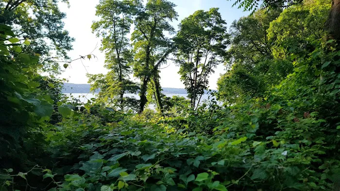 Croton Point Park Tent Camping Area Picture 5