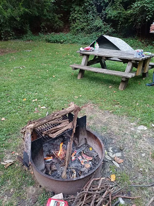 Croton Point Park Campground Picture 6