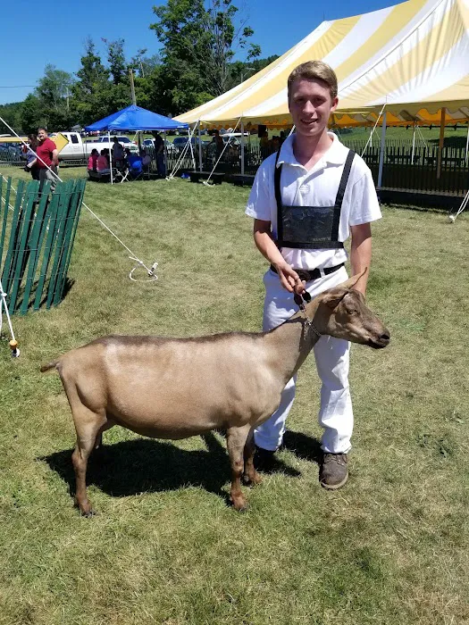 Iroquois Farm Showgrounds Picture 6