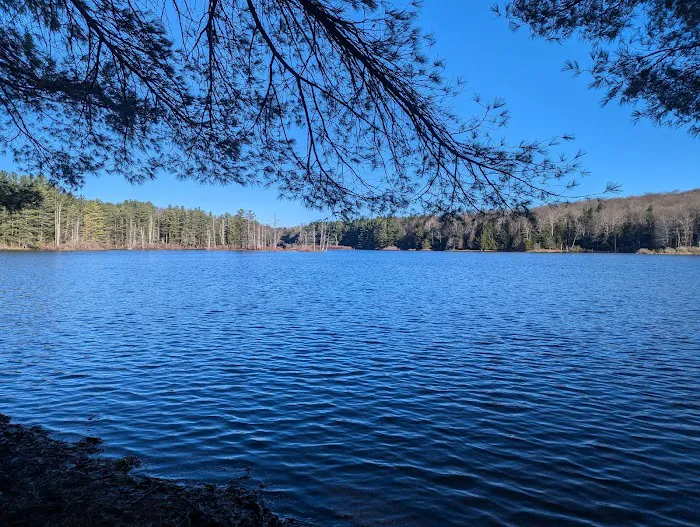 Stoney Pond Campground Picture 7