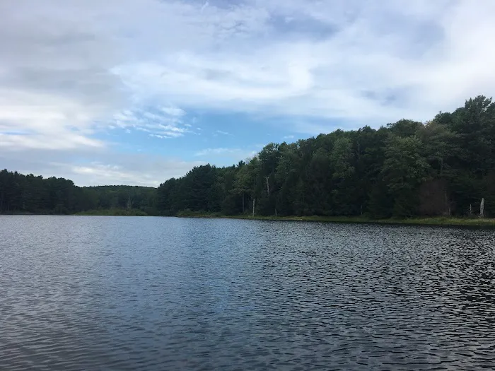 Stoney Pond Campground Picture 1
