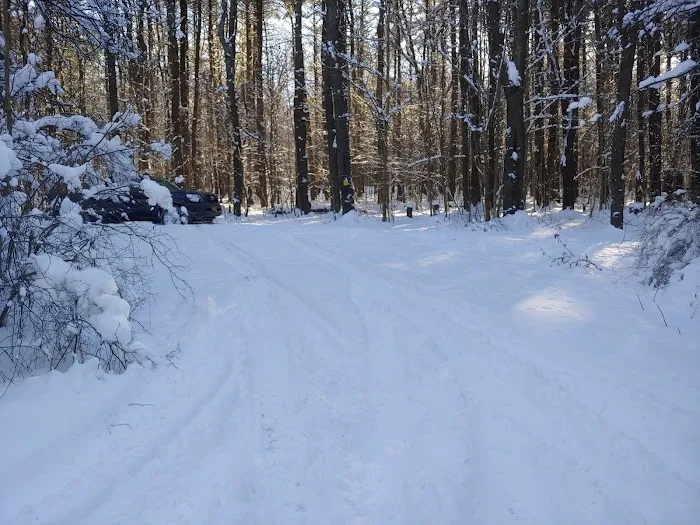 Stoney Pond Campground Picture 6