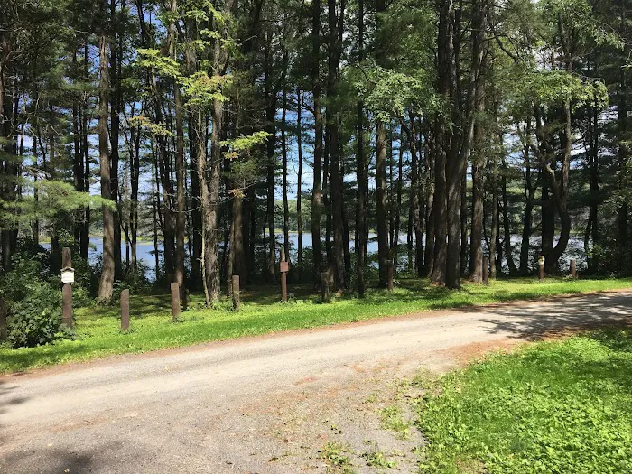Stoney Pond Campground Picture 9