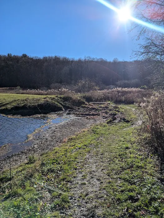 Stoney Pond Campground Picture 5