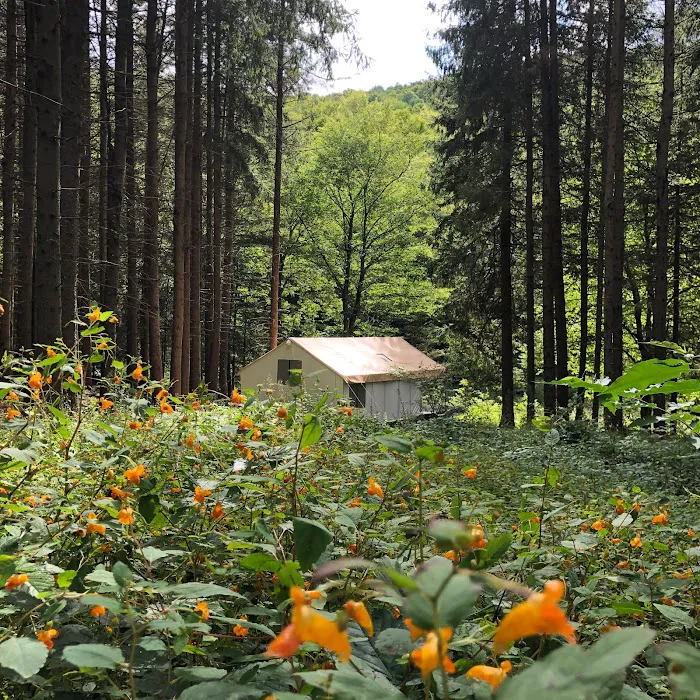 Wolf Hollow Camp Picture 3