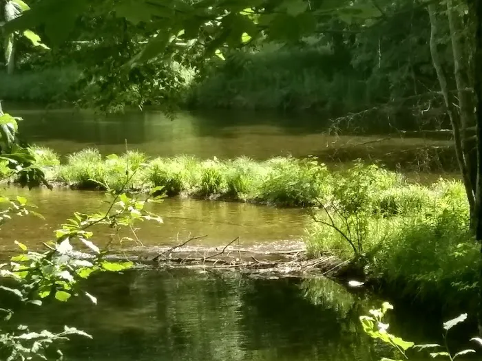 Neversink River Campgrounds Picture 3