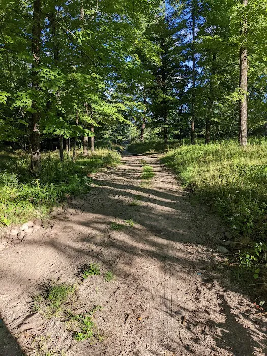 Neversink River Campgrounds Picture 2