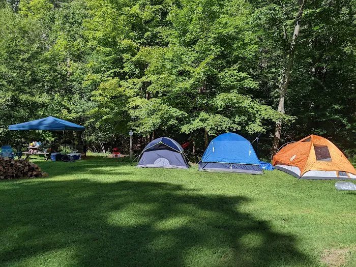 Neversink River Campgrounds Picture 4