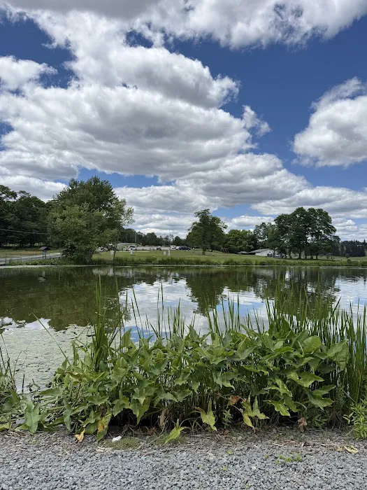 Morningside Park Campground Picture 5