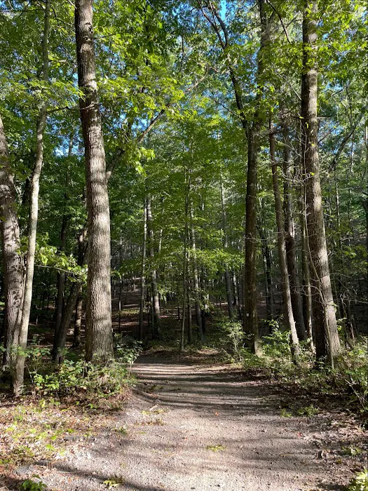 Mountain Top RV Park Picture 2