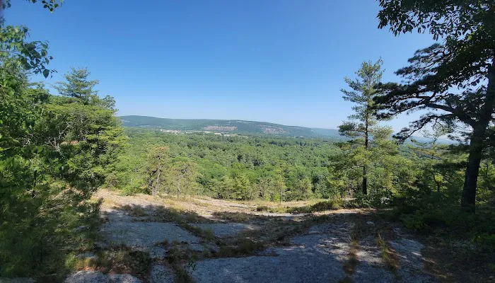 Mountain Top RV Park Picture 4