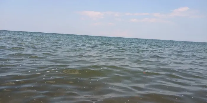White Birch Campground Picture 3