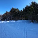 Webster Park Campgrounds