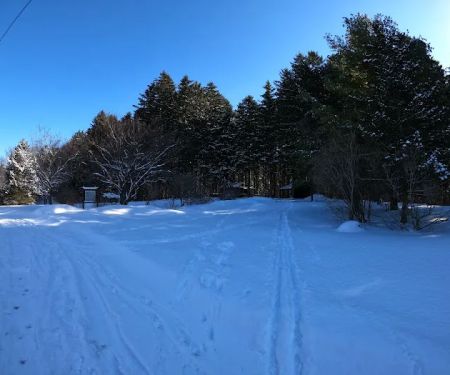 Webster Park Campgrounds
