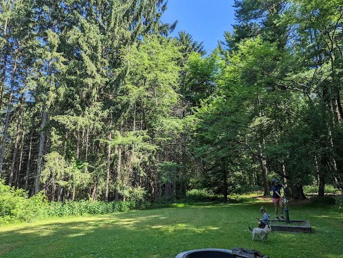 Webster Park Campgrounds Picture 6