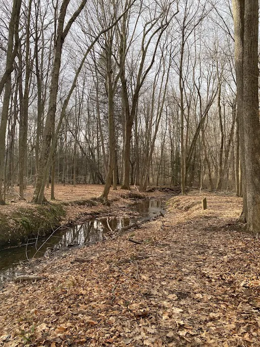 Webster Park Campgrounds Picture 5