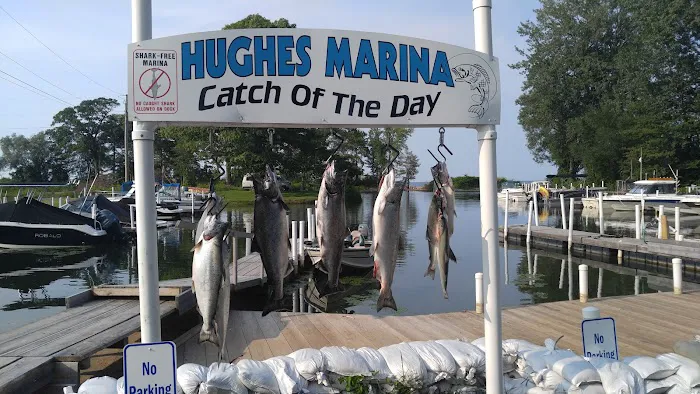 Hughes Marina & Campground Picture 4