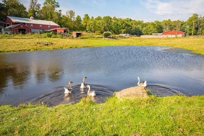 Sun Retreats Pleasant Acres Farm Picture 10