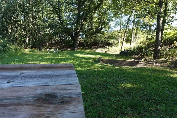 Black Bear RV Park Picture 2