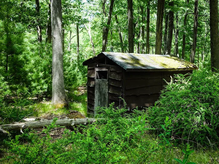 Camp Winonah Picture 4