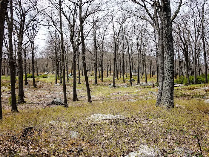 Tiorati Plateau Campground (Reservation Required) Picture 3