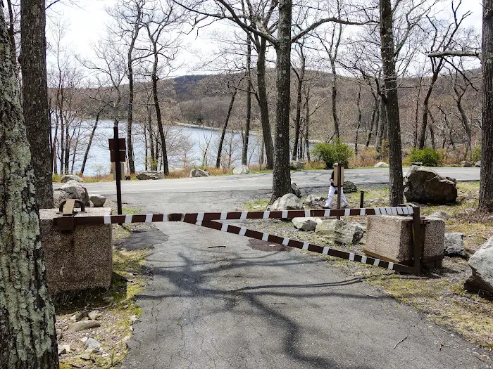 Tiorati Plateau Campground (Reservation Required) Picture 4