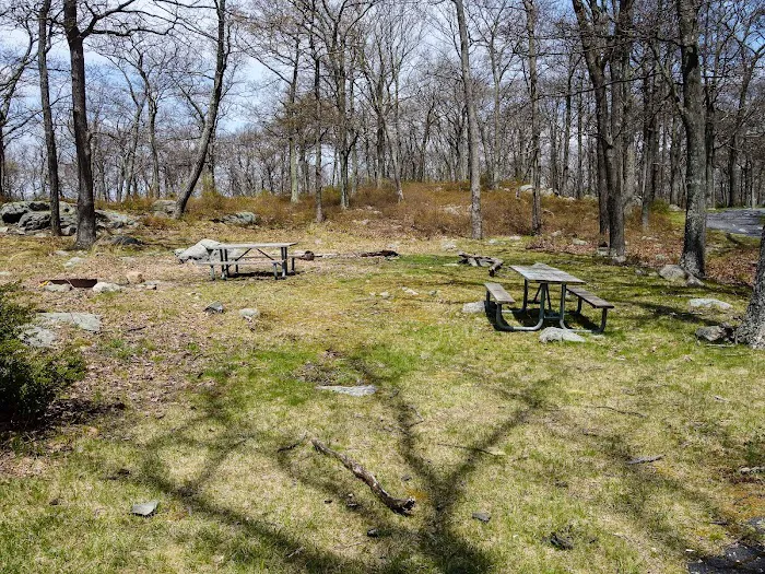 Tiorati Plateau Campground (Reservation Required) Picture 5