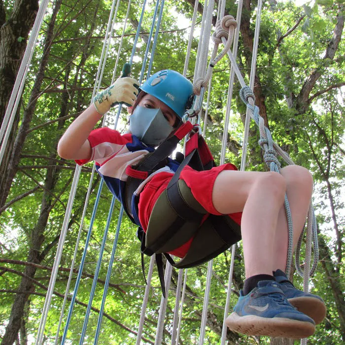 Mosholu Day Camp Picture 7