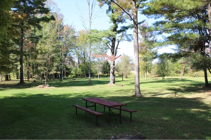 Cooperstown Deer Run Campground Picture 4
