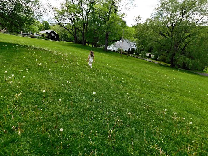 Belvedere Lake Resort Picture 3