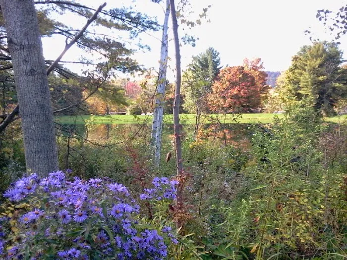 Cooperstown Shadow Brook Campground Picture 10