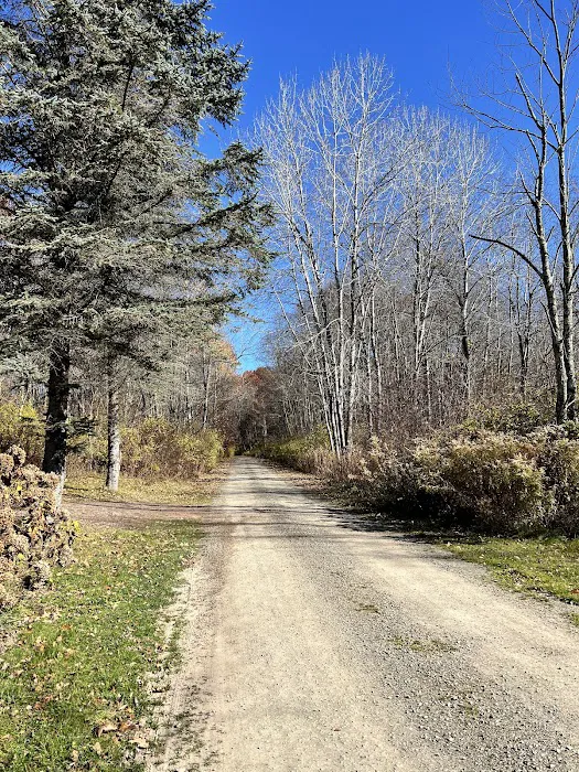 Stratton Falls Campground Picture 5