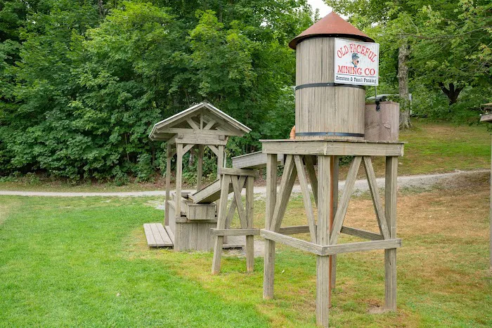 Jellystone Park™ Birchwood Acres Picture 6